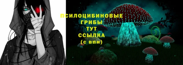 спиды Абаза