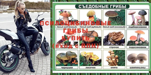 спиды Абаза