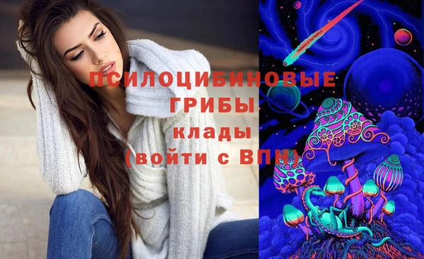спиды Абаза