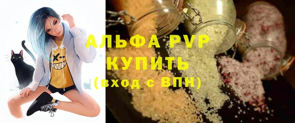 спиды Абаза